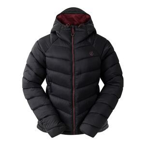 Dare 2B Womens/Ladies Torrek Baffled Padded Jacket / Black
